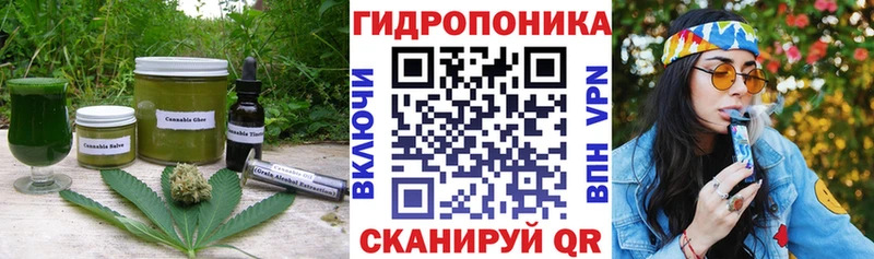 наркотики  Луга  MEGA ССЫЛКА  Canna-Cookies конопля 