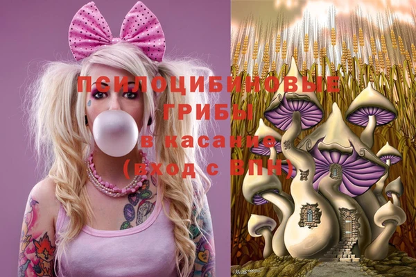 дживик Армянск