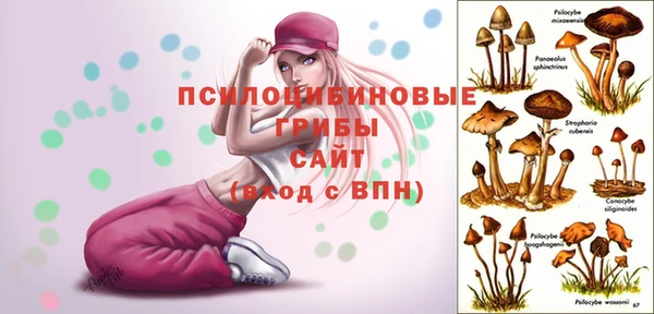кокаин Арсеньев