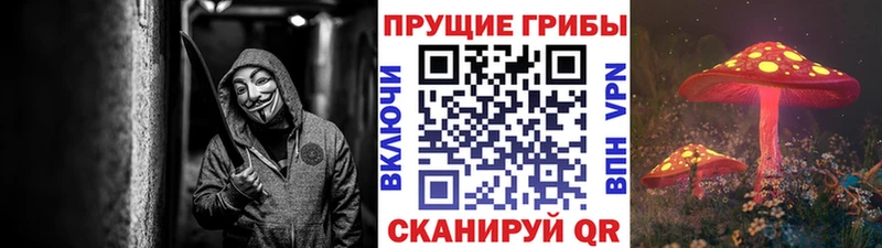Псилоцибиновые грибы ЛСД  Луга 
