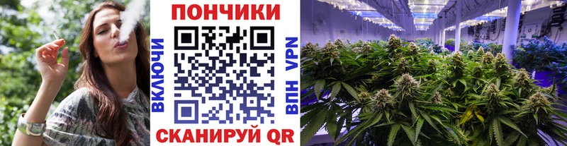 Конопля планчик  Луга 